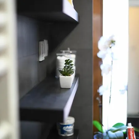 Andrea Apartment Cluj-Napoca